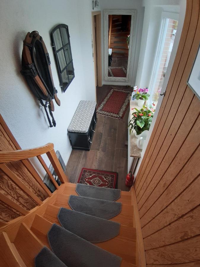 Ferienwohnung Schwalbennest Hanerau-Hademarschen Экстерьер фото