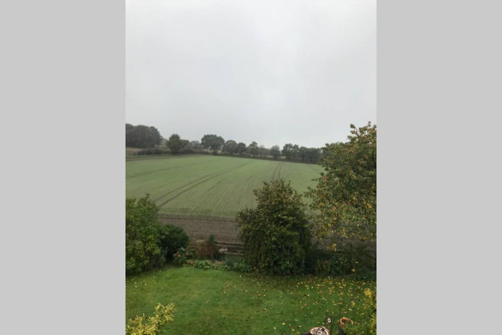 Ferienwohnung Schwalbennest Hanerau-Hademarschen Экстерьер фото